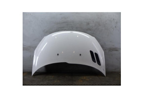 Capot PEUGEOT 206+ Photo n°1