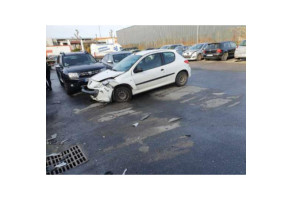 Capot PEUGEOT 206+ Photo n°10