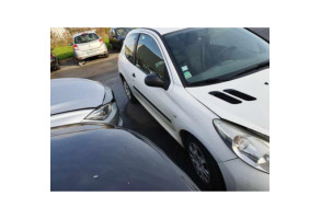 Capot PEUGEOT 206+ Photo n°11