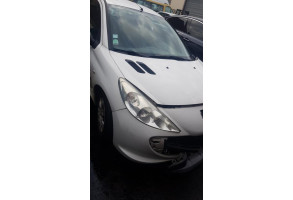 Capot PEUGEOT 206+ Photo n°16