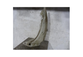 Vase de lave glace FORD TRANSIT CONNECT 1 Photo n°2