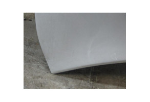 Capot FORD PUMA Photo n°2