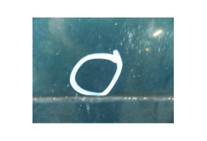 Capot VOLKSWAGEN SHARAN 1 Photo n°2