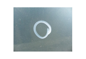 Capot NISSAN X-TRAIL 1 Photo n°4