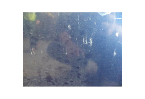 Porte avant droit KIA CERATO Photo n°6
