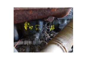 Moteur FORD ESCORT 6 Photo n°5