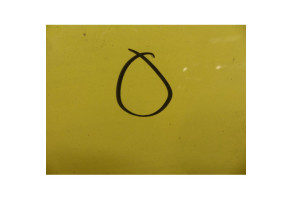 Capot RENAULT MODUS Photo n°4