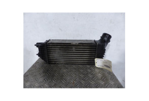 Echangeur air (Intercooler) PEUGEOT 308 1 Photo n°1