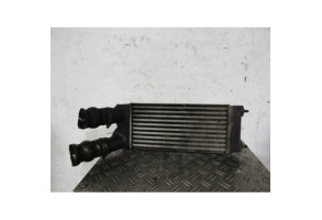 Echangeur air (Intercooler) PEUGEOT PARTNER 2 Photo n°1