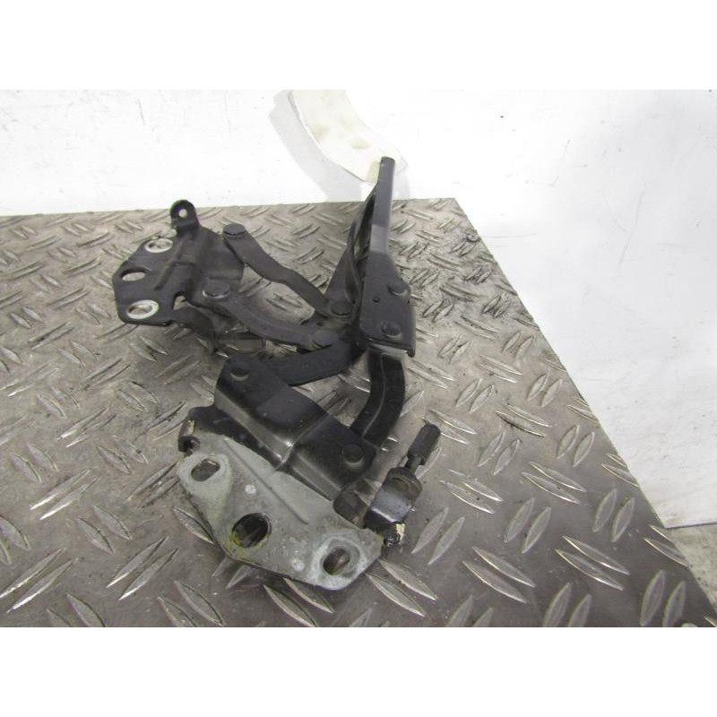 Charniere de capot VOLKSWAGEN PASSAT 6 Photo n°1