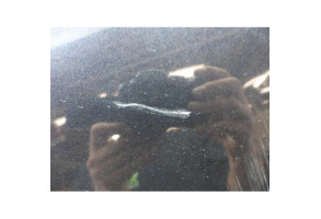 Capot VOLKSWAGEN TOUAREG 1 Photo n°4