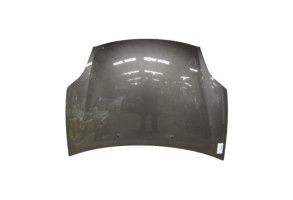 Capot FIAT BRAVO 2 Photo n°3