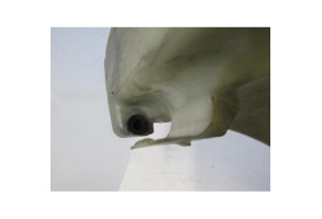 Vase de lave glace BMW SERIE 3 E46 Photo n°1