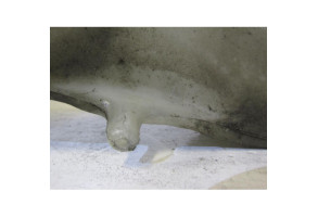 Vase de lave glace RENAULT MEGANE 1 Photo n°4