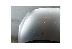 Capot PEUGEOT 206+ Photo n°2