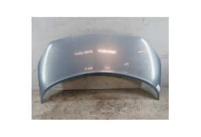 Capot RENAULT SCENIC 2 Photo n°1