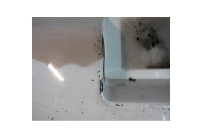 Pare choc arriere VOLKSWAGEN NEW BEETLE 1 Photo n°12