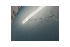 Capot RENAULT SCENIC 2 Photo n°2