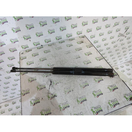 Verin de coffre VOLKSWAGEN FOX