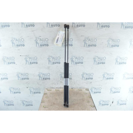 Verin de coffre FORD FOCUS 2