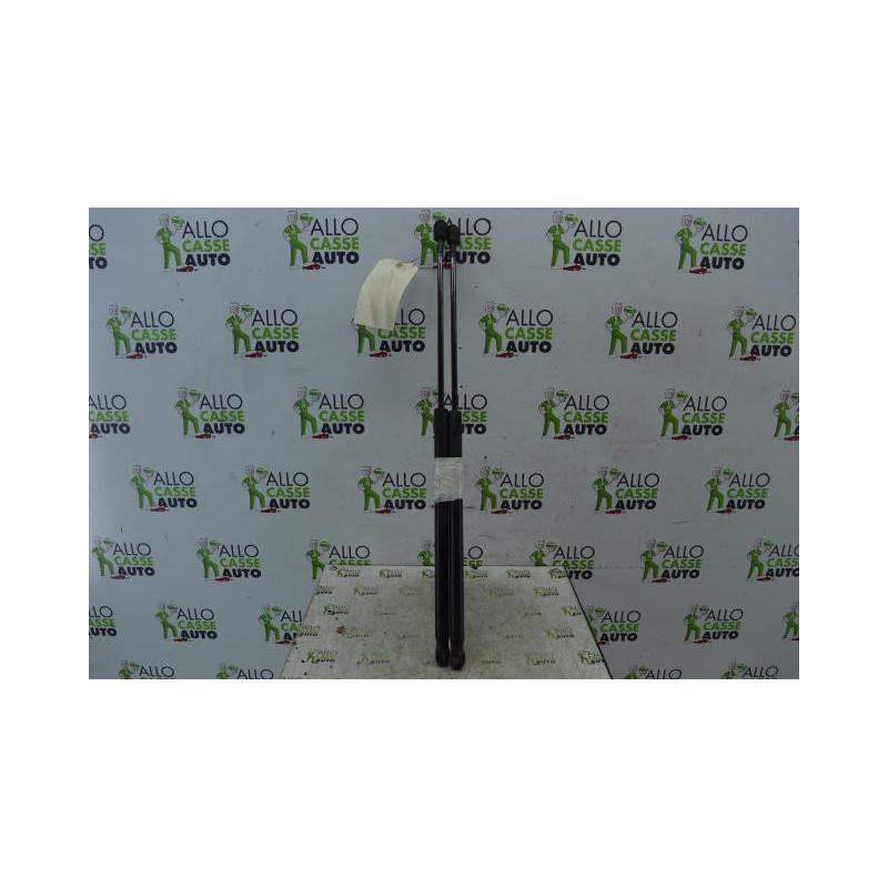 Verin de coffre FORD C-MAX 1 Photo n°1