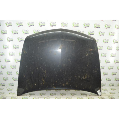 Capot RENAULT VEL SATIS