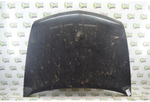 Capot RENAULT VEL SATIS Photo n°2