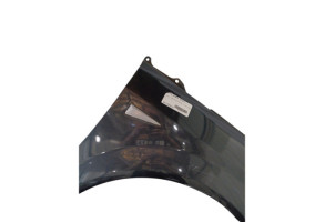 Aile avant droit RENAULT GRAND SCENIC 2 Photo n°4