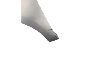 Aile avant gauche RENAULT SCENIC 3 Photo n°4
