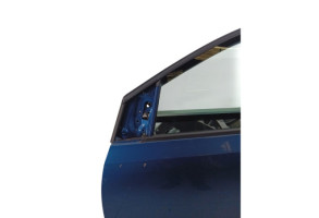 Porte avant gauche VOLKSWAGEN POLO 5 Photo n°6