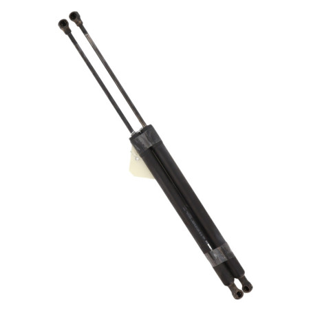 Verin de coffre RENAULT SCENIC 3