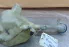 Vase de lave glace HONDA JAZZ 2 Photo n°1