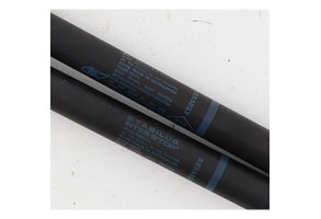 Verin de coffre RENAULT GRAND SCENIC 2 Photo n°4