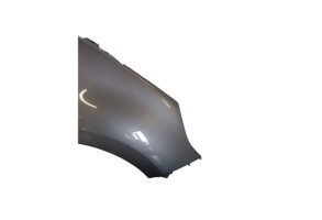 Aile avant droit RENAULT SCENIC 3 Photo n°1