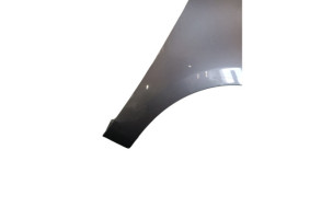 Aile avant droit RENAULT SCENIC 3 Photo n°3