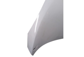 Capot RENAULT SCENIC 3 Photo n°4