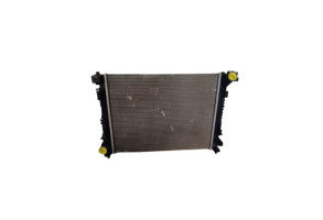 Radiateur eau DACIA SANDERO 3 Photo n°4