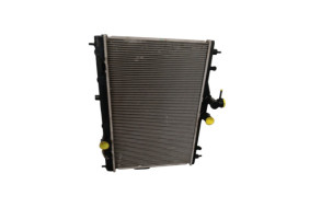 Radiateur eau NISSAN JUKE 1 Photo n°1