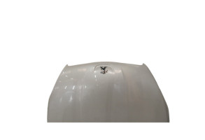 Capot PEUGEOT 508 1 Photo n°3