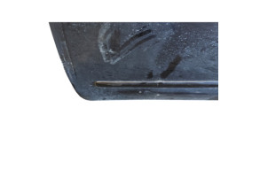 Porte avant gauche NISSAN MICRA 4 Photo n°6