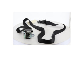 Ceinture arriere gauche CITROEN C-ELYSEE Photo n°4