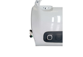 Porte avant gauche CITROEN C3 3 Photo n°3