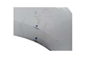 Aile avant gauche RENAULT GRAND SCENIC 3 Photo n°6