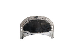 Capot VOLKSWAGEN EOS Photo n°1