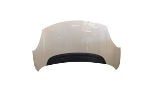 Capot FIAT 500L Photo n°1
