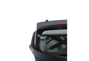 Malle/Hayon arriere RENAULT CLIO 3 Photo n°6