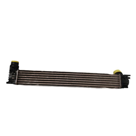 Echangeur air (Intercooler) RENAULT GRAND SCENIC 3