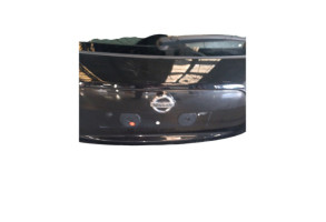 Malle/Hayon arriere NISSAN JUKE 1 Photo n°1