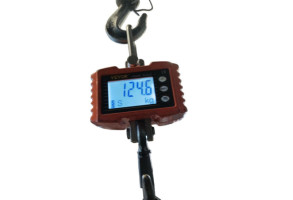 Moteur RENAULT KANGOO 1 Photo n°9