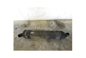 Echangeur air (Intercooler) RENAULT LAGUNA 3 Photo n°1